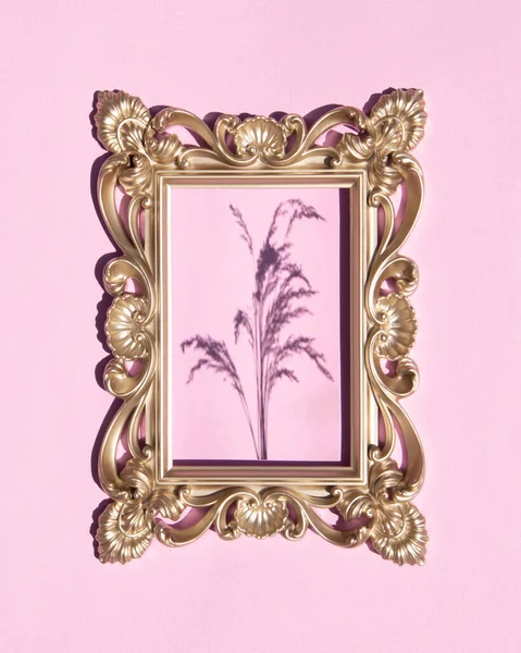 Plant Shadow Sunny Day Vintage Frame Concept Minimal Botanical Layout — 스톡 사진