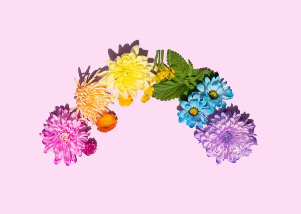 色彩艳丽的花朵点缀在淡淡的粉色背景上 创意自然的概念 最低限度彩虹的构图 — 图库照片