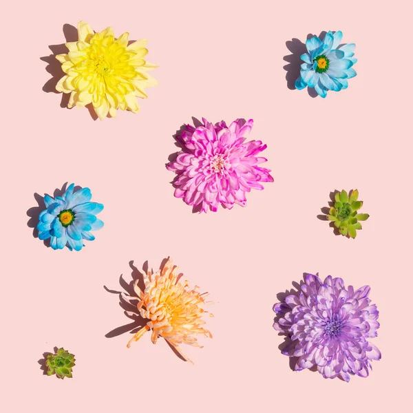 Kolorowe Kwiaty Pastelowym Jasnoróżowym Tle Kreatywna Koncepcja Kwiatów Minimalistyczny Skład — Zdjęcie stockowe