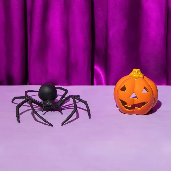 Halloween holiday concept. Scary pumpkin and spider on pastel purple background. Minimal party composition.