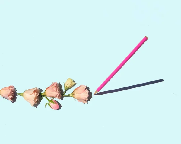 Creative Writing Concept Minimal Composition Pencil Flowers Pastel Bright Blue — 스톡 사진