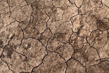 Çamur çatlaklarını kapatır