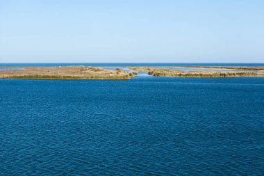 Ebro river with rice fields in the background in the Ebro Delta in Tarragona, Spain