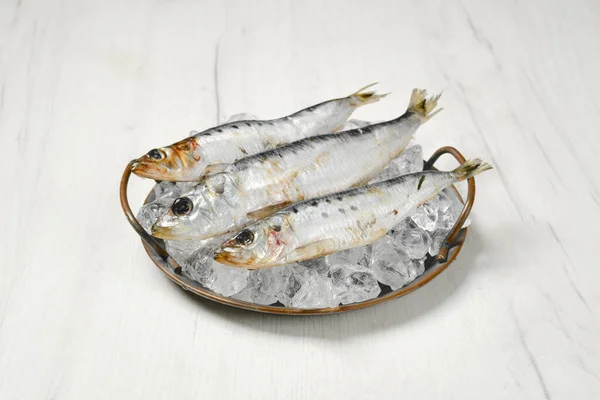 新鲜的鱼子酱鲱鱼 盘中有冰块 — 图库照片