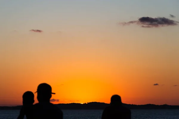 Salvador Bahia Brazil June 2021 Silhouette Sunset Tree Bus Stop — Stock Photo, Image