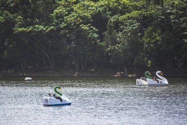 Salvador, Bahia, Brezilya - 17 Ağustos 2014: Parque de Pituacu deniz kenarında yer almaktadır ve Bahia 'nın Salvador kentindeki en büyük ekolojik rezerv konumundadır..