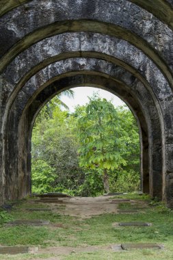 Casa da Torre de Garcia Davila harabeleri. Brezilya 'nın Bahia eyaletinde yer alan Mata de Sao Joao belediyesine bağlı Praia do Forte' de bulunan tarihi bir binadır..