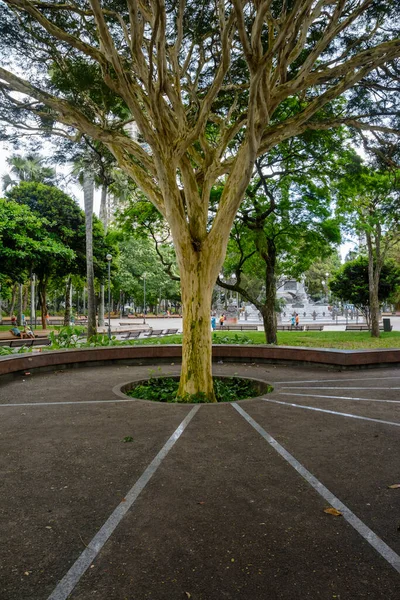 Salvador Bahia Brasil Outubro 2014 Praça Campo Grande Também Conhecida — Fotografia de Stock