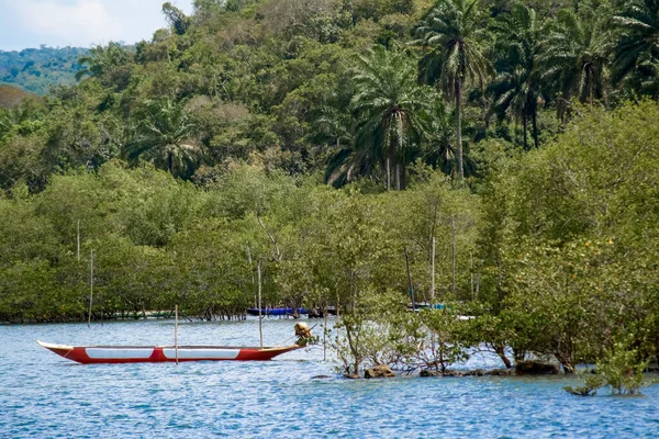 Kanus Und Boote Legen Ufer Des Großen Flusses Paraguacu Brasilianischen — Stockfoto