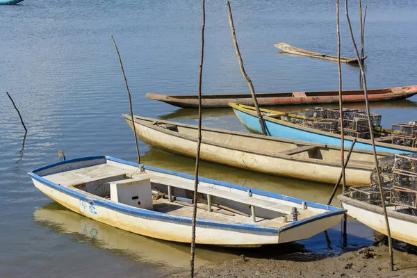 Canots Bateaux Amarrés Sur Rive Grand Fleuve Paraguacu Situé Dans — Photo