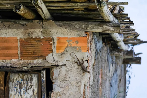 Maisons Faites Argile Ciment Sur Les Rives Grand Fleuve Paraguacu — Photo