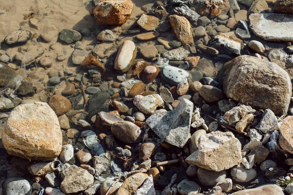 Stones Rocks Brown Gray Black Shore Ondina Beach Salvador Bahia — Stock Photo, Image