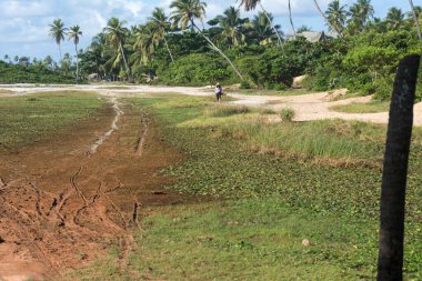 Brezilya 'nın Bahia eyaletinin Candeias şehrindeki Caboto plajı. Güçlü güneşli bir gün.