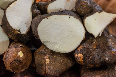 Salvador, Bahia, Brezilya 'daki ünlü ve görkemli Sao Joaquim fuarında satışı hedefle.