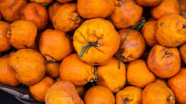 Salvador, Bahia, Brezilya 'daki ünlü ve görkemli Sao Joaquim fuarında satılık mandalinalar..