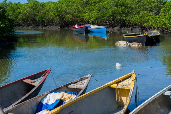 Candéias Bahia Brésil Novembre 2015 Canots Pêche Ancrés Dans Rivière — Photo