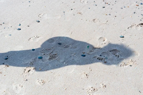 Sombra Uma Pessoa Areia Praia Farol Barra Dia Ensolarado Forte — Fotografia de Stock