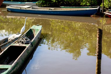 Güneşli bir günde kanolar ve balıkçı tekneleri yansımalarla birlikte nehre yanaştı. Balıkçıl balığa bakıyor. Acupe, Bahia, Brezilya.