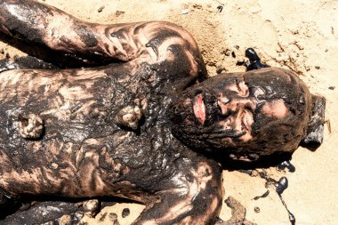 Adam Salvador 'daki Porto da Barra plajında Sarımsak ve Yağ' ın tiyatro performansını sergiliyor. Tamamen siyah boya, sarımsak ve yağla kaplı. Salvador Bahia Brezilya.