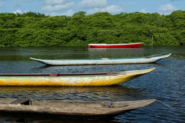 Canots Pêche Colorés Amarrés Dans Rivière Jaguaripe Maragogipinho Bahia Brésil — Photo