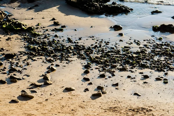 オンディナビーチの海岸にある茶色 黒の石や岩 サルバドール バイア ブラジル — ストック写真