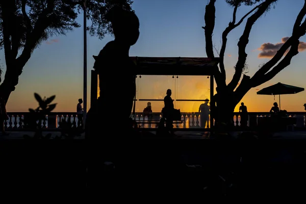 Salvador Bahia Brésil Juin 2021 Silhouette Coucher Soleil Arbre Arrêt — Photo