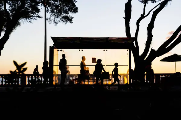 Salvador Bahia Brésil Juin 2021 Silhouette Coucher Soleil Arbre Arrêt — Photo