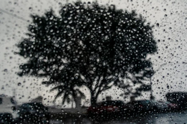 Vått Glas Bil Inuti Utsikt Över Ett Träd Gatan Salvador — Stockfoto