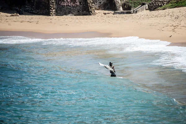 Salvador Bahia Brasilien Augusti 2021 Fiskare Kastar Nät Stranden Rio — Stockfoto