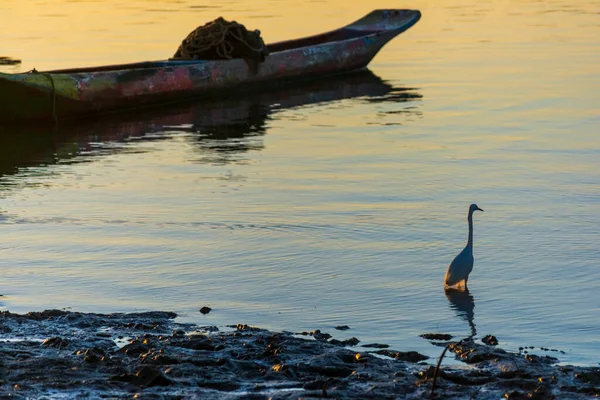 Sylwetka Zachodzie Słońca Kajaków Zadokowana Wspaniałej Rzece Paragwaju Położonej Brazylijskim — Zdjęcie stockowe