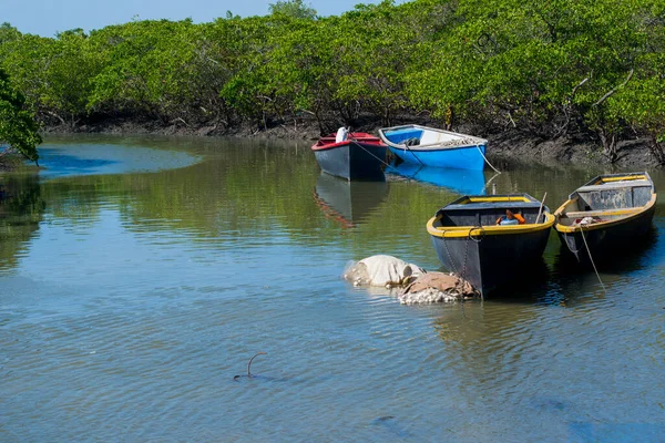 Candeias, Bahia, Brezilya - 14 Kasım 2015: Bahia eyaletindeki Saubara nehrine demir atmış balık kanoları.
