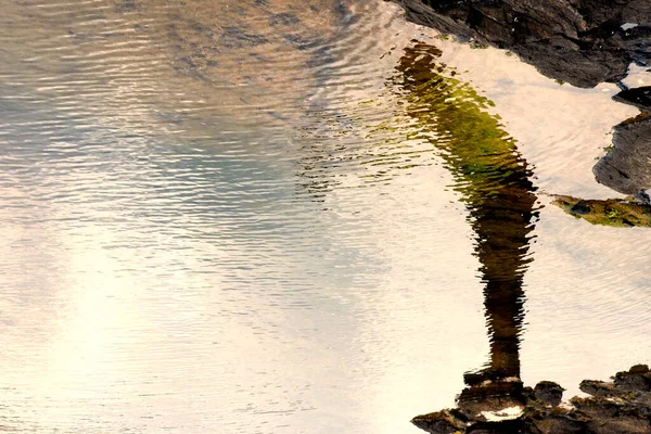 Reflection Person Crossing Water Puddles Rocks Farol Barra Beach Salvador — Stock Photo, Image