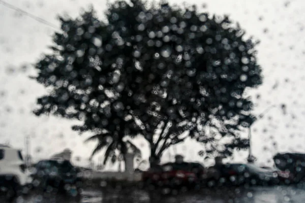 Mokre Szkło Auto Wewnątrz Widok Drzewo Ulicy Salvador Bahia Brazylia — Zdjęcie stockowe