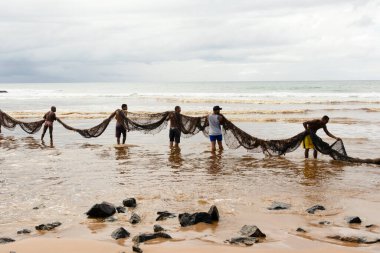 Salvador, Bahia, Brezilya - 11 Ocak 2019: Balıkçılar büyük ağı koloniye götürüyor.    