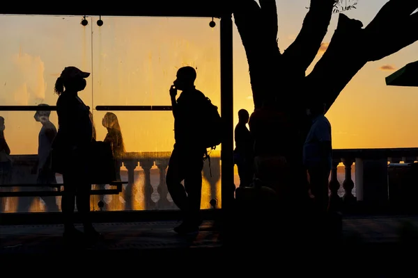 Salvador Bahia Brasile Giugno 2021 Silhouette Tramonto Albero Fermata Dell — Foto Stock