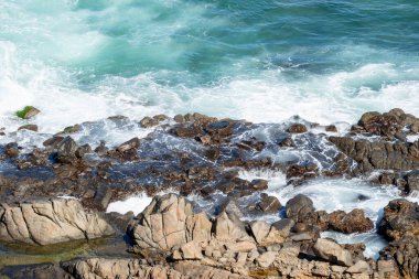Sahildeki kayalarda okyanus dalgaları kırılıyor. Salvador, Bahia, Brezilya.