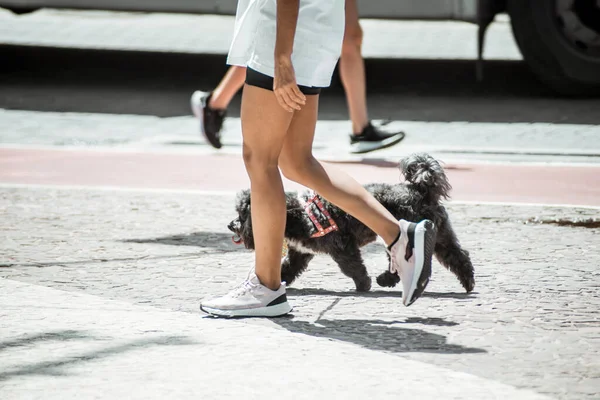 Salvador Bahia Brasile Agosto 2021 Person Walking Dog City Street — Foto Stock