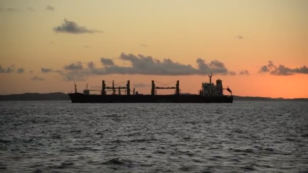 Большой Корабль Открытом Море Против Заката Сальвадоре Баия Бразилия — стоковое видео