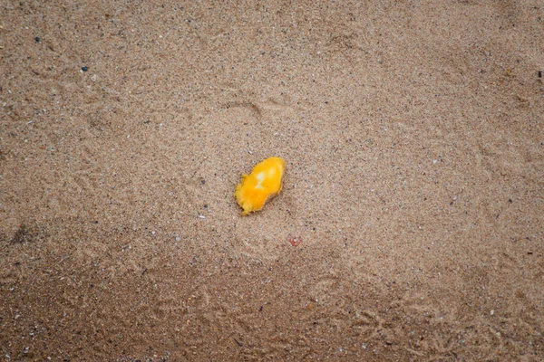 Footprints Shapes Brown Sand Famous Rio Vermelho Beach City Salvador — Stock Photo, Image