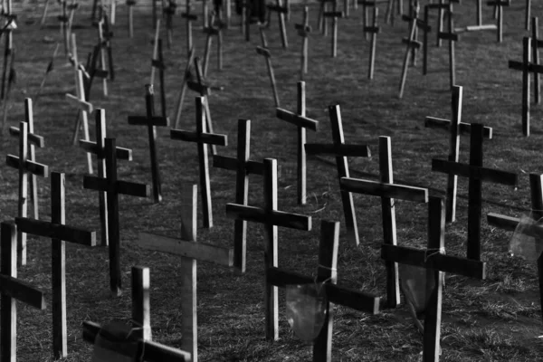 Кресты Прибитые Земле Честь Тех Кого Убил Ковид Сальвадор Бахия — стоковое фото
