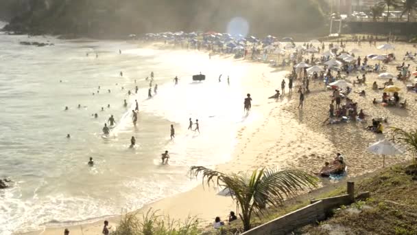 Сальвадор Баия Бразилия Августа 2021 Люди Пляже Играют Купаются Море — стоковое видео