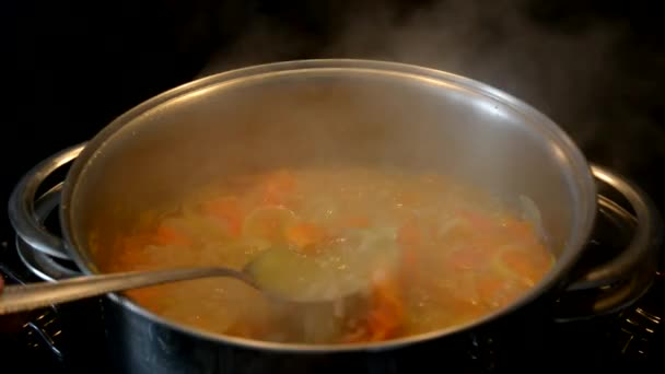 Riz Carottes Oignons Dans Casserole Acier Inoxydable — Video