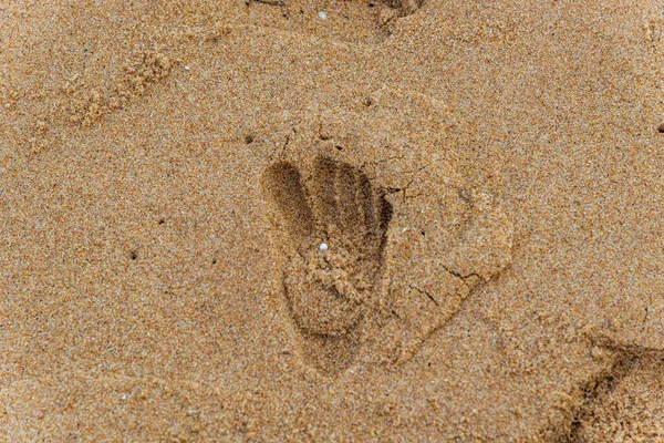 Empreintes Formes Dans Sable Brun Célèbre Plage Rio Vermelho Ville — Photo