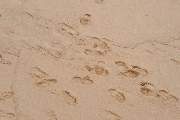 有名なリオVermelhoビーチの茶色の砂の中の足跡と形 ブラジル バイーア州サルバドール市 — ストック写真