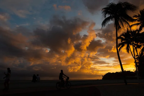 Arbres Silhouettés Contre Coucher Soleil Jaune Dramatique Ville Salvador Bahia — Photo