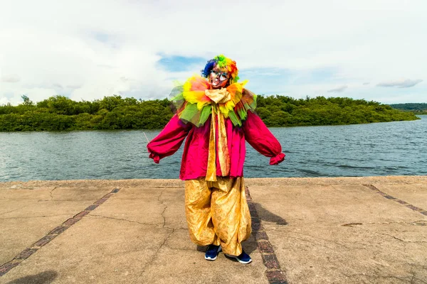 Maragogipe, Bahia, Brezilya - 04 Mart 2019: Carnaval de Maragojipe Brezilya 'nın Bahia eyaletinin Maragogipe şehrinde her yıl düzenlenen geleneksel bir karnaval festivali..
