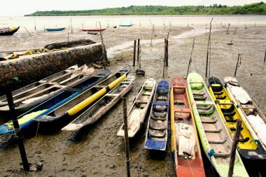 Kanolar ve tekneler nehre demirlemiş, gelgitin yükselmesini bekliyorlar. Sao Francisco do Conde, Bahia, Brezilya.
