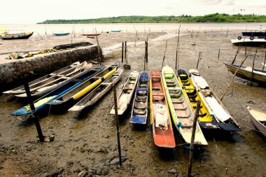 Kanolar ve tekneler nehre demirlemiş, gelgitin yükselmesini bekliyorlar. Sao Francisco do Conde, Bahia, Brezilya.