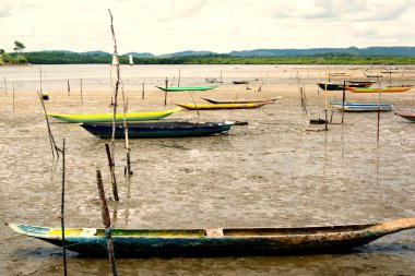 Kanolar ve tekneler nehre demirlemiş, gelgitin yükselmesini bekliyorlar. Sao Francisco do Conde, Bahia, Brezilya.