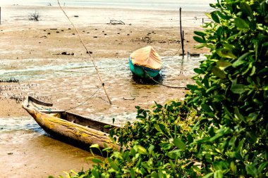 Kanolar ve tekneler nehre demirlemiş, gelgitin yükselmesini bekliyorlar. Sao Francisco do Conde, Bahia, Brezilya.